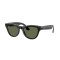 Ray Ban Meta Skylar