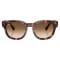 Ray Ban Mega Haweye Sunglasses #1