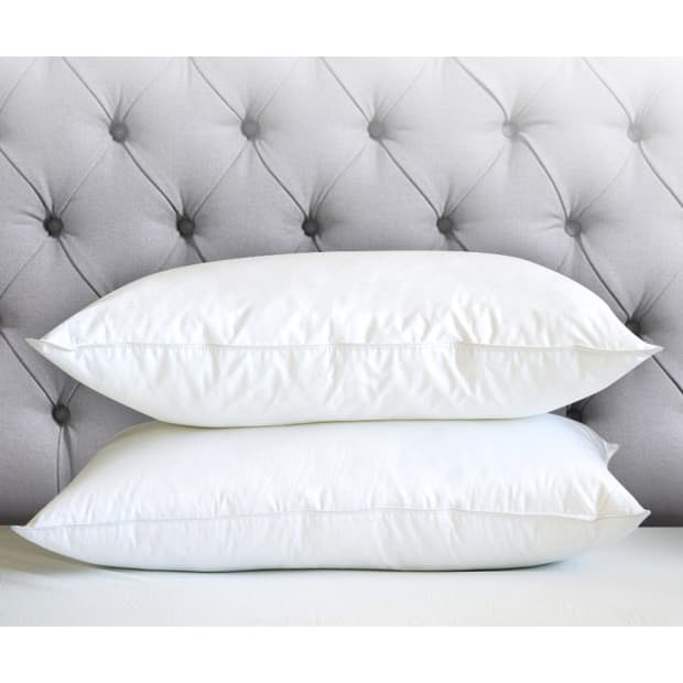 Cuddle Down Suprelle Memo Pillows - Queen - Set of 2