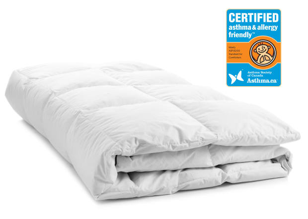 LuxeportPURECertified Asthma and Allergy Friendly™ 100% Silk Duvet - Queen