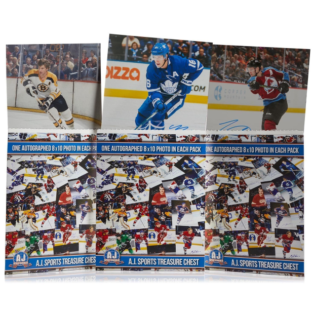 AJ Sports 8 x 10 Photo Hockey Treasure Chest