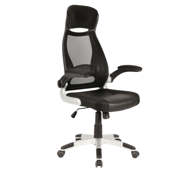 Worldwide Home Furnishings Figo Home Office Chair #1