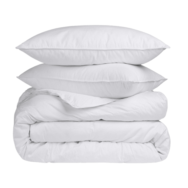 Twin Ducks Sea Breeze White Duck Down and Feather Duvet and Pillows - Queen
