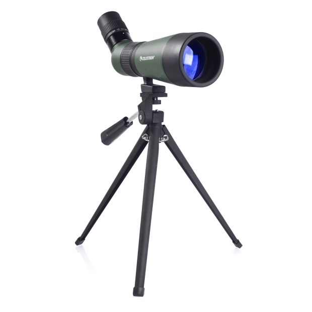 CELESTRON LandScout 12-36x60mm Spotting Scope