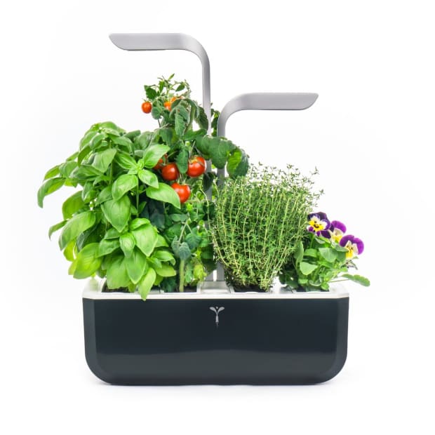 Veritable SMART Soft Black Indoor Garden #1