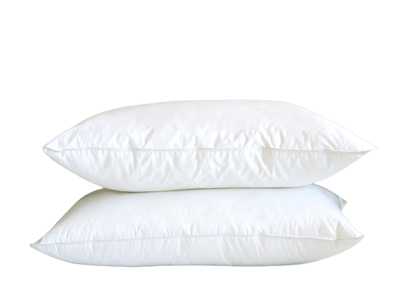 Cuddle Down LAKE LOUISE 100% Canadian Hutterite Down Filled Pillows 18 Ounce Fill/Each (20" x 30" Ea.) Pair of Two - QUEEN