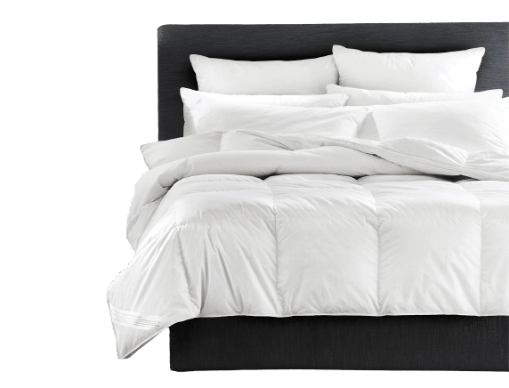 Cuddle Down LAKE LOUISE 100% CANADIAN Hutterite Down Duvet 700+ Loft 500TC Shell 25 Ounce Fill - QUEEN