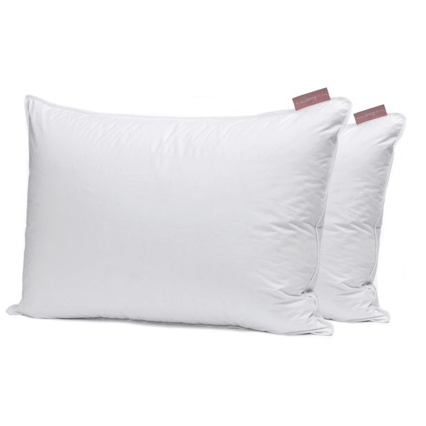 Bianca Pair of 2 Recycled Down Pillow - Queen