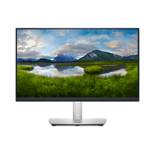 Dell 22 Professional Monitor - P2222H