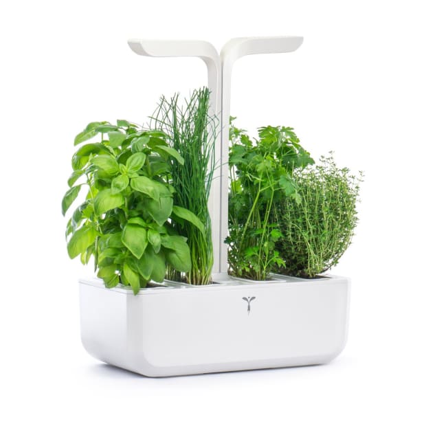 Veritable CLASSIC Indoor Garden #1