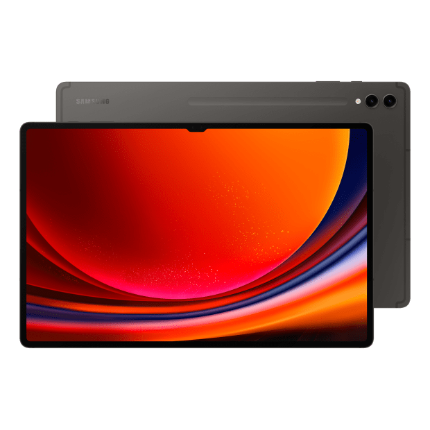 Samsung Galaxy Tab S9 Ultra - Graphite - 12GB / 256GB #1