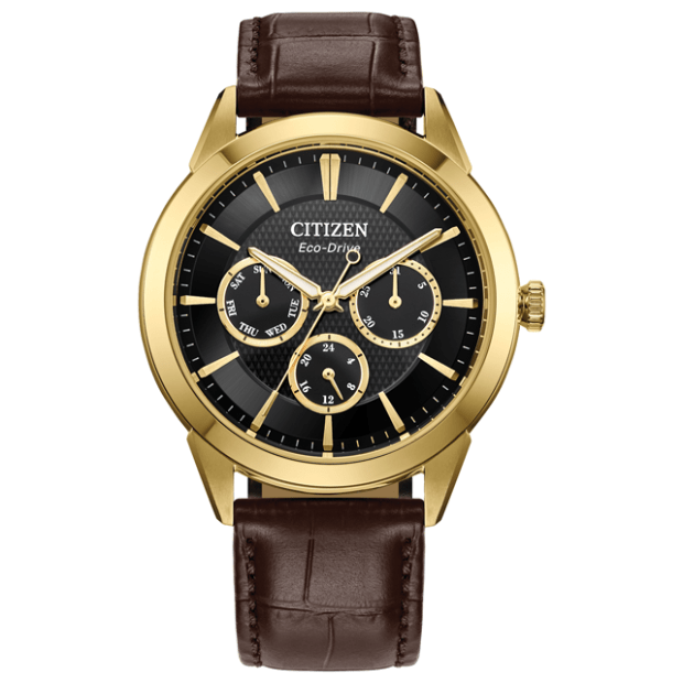 Citizen Rolan Mens Watch