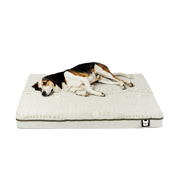 Silver Paw - EKO Premium Dog Bed - Large #1