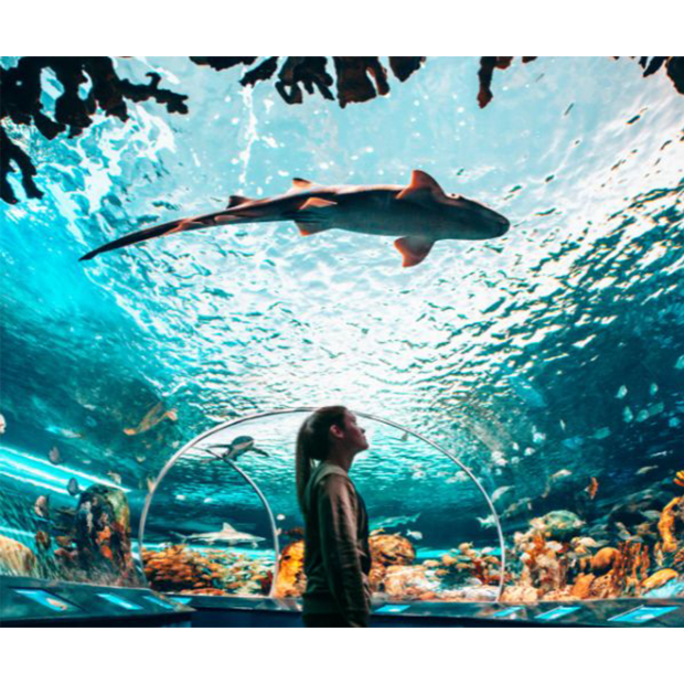 Ripley's Aquarium of Canada - General Admission – Youth/Senior (Age 6-13 years, 65+) #1