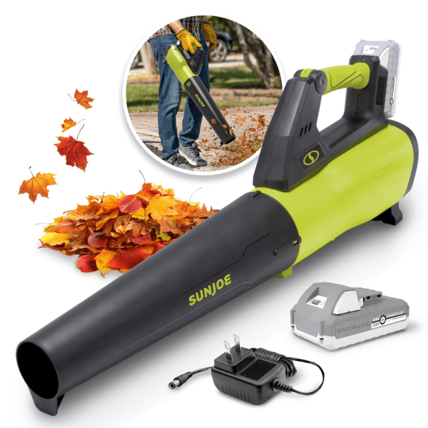 Sun Joe IONMAX Cordless Turbine Jet Blower Kit with 2.0-Ah Battery and Charger #1