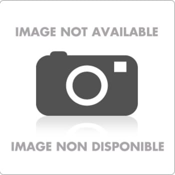 BISSELL Pet Hair Eraser® Cordless Stick Vacuum