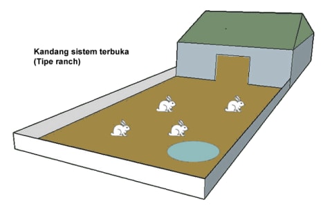 kandang bebek hibrida