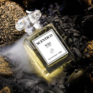 Wild – Impression of Dior Sauvage (Men’s Perfume)