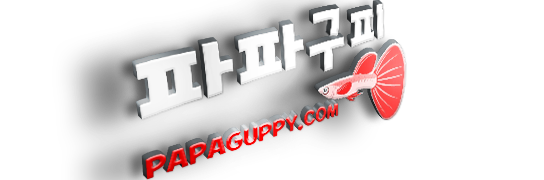 【 파파구피 】