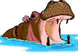 hippo3.gif: