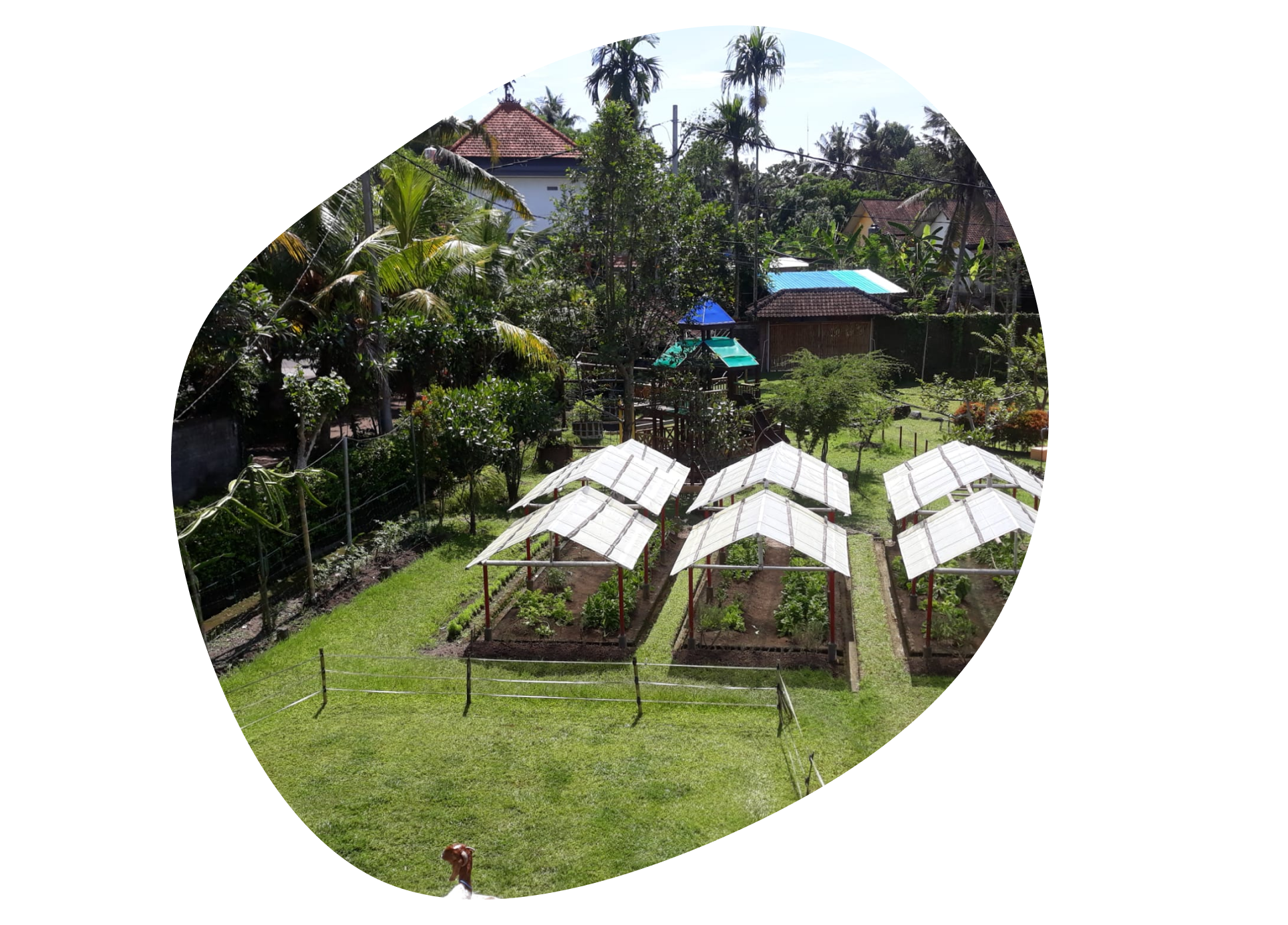 Harmony School grounds