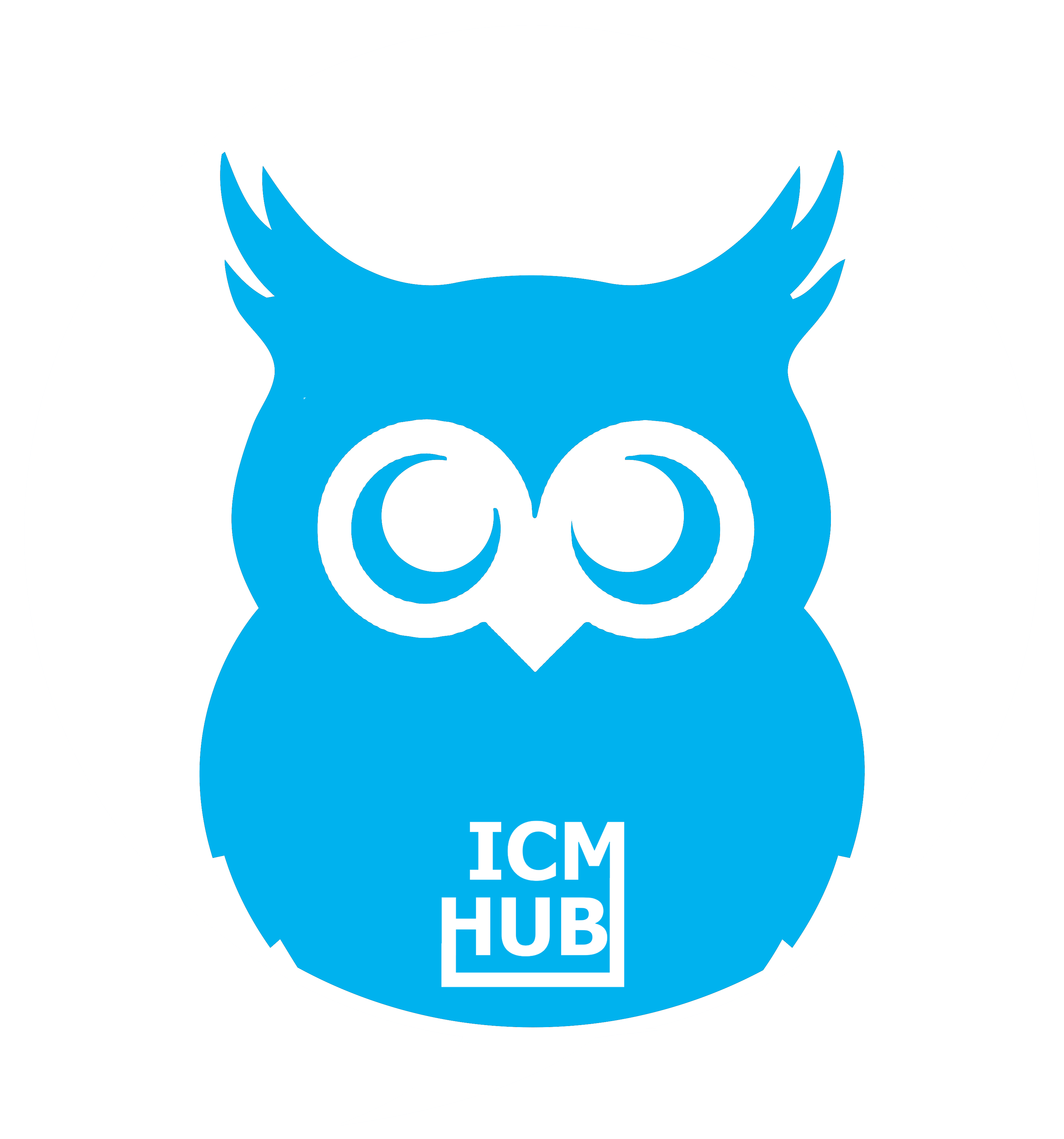 ICM Hub Inc.