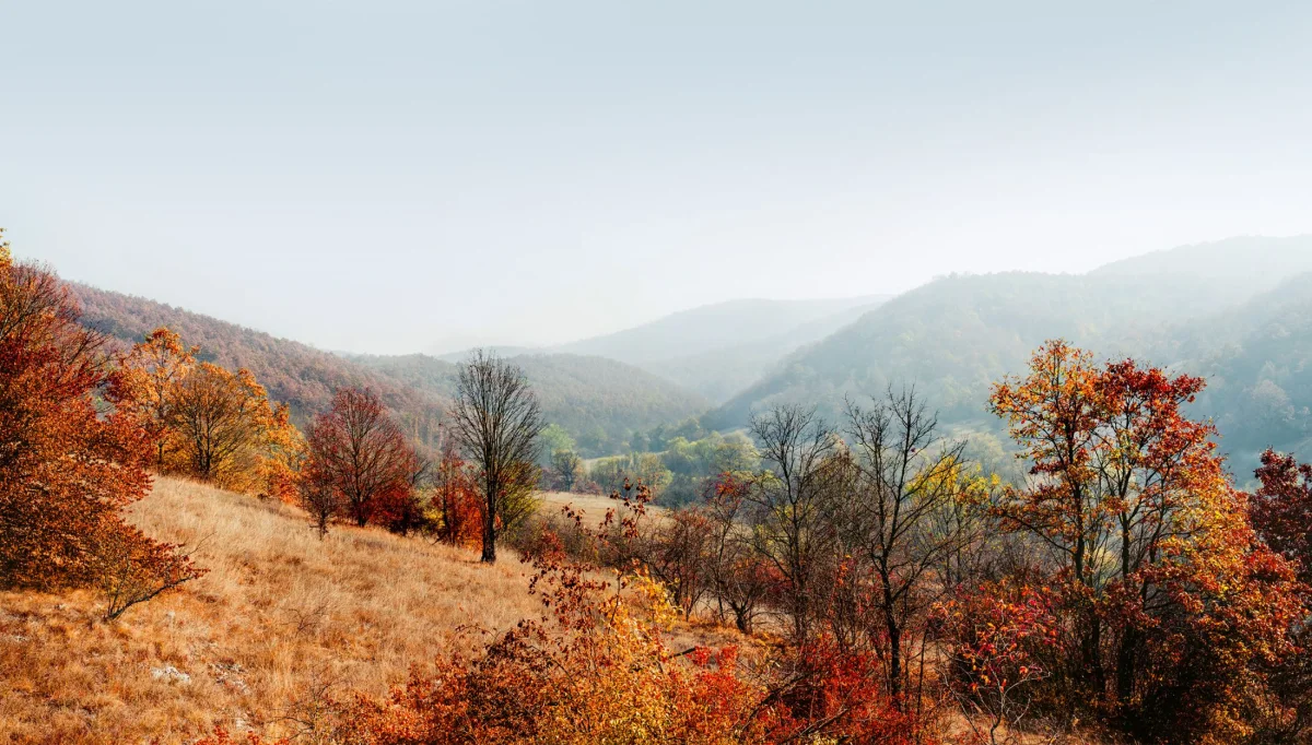 Cerje, beautiful landscapes and a picnic area