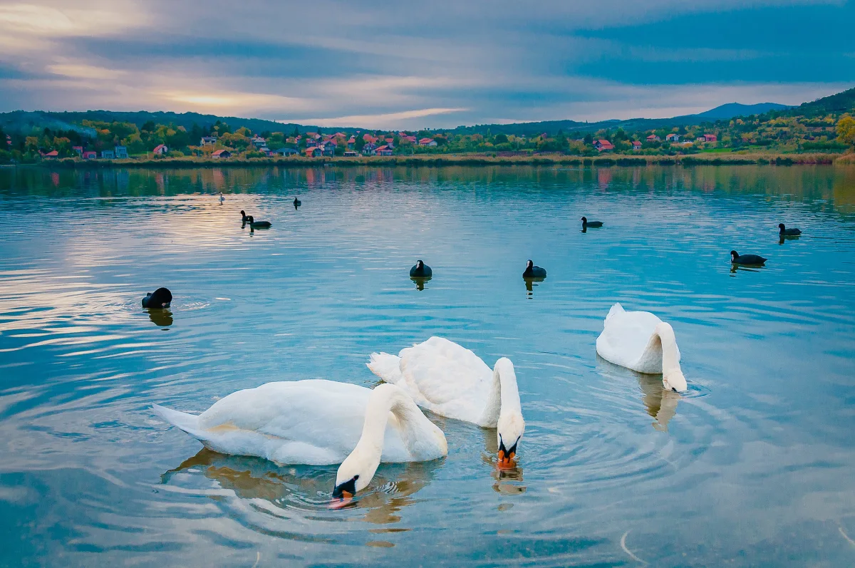 Oblačina lake - favorite getaway destination