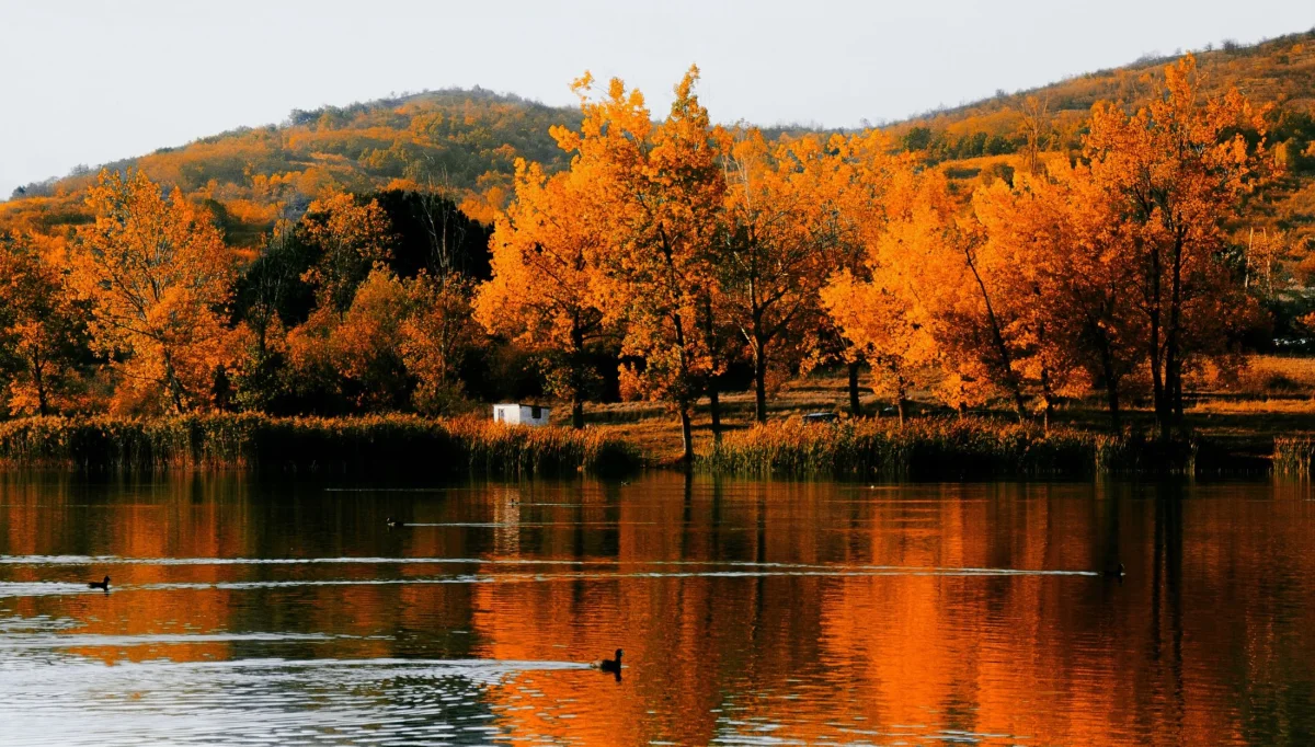 Oblačina lake - favorite getaway destination
