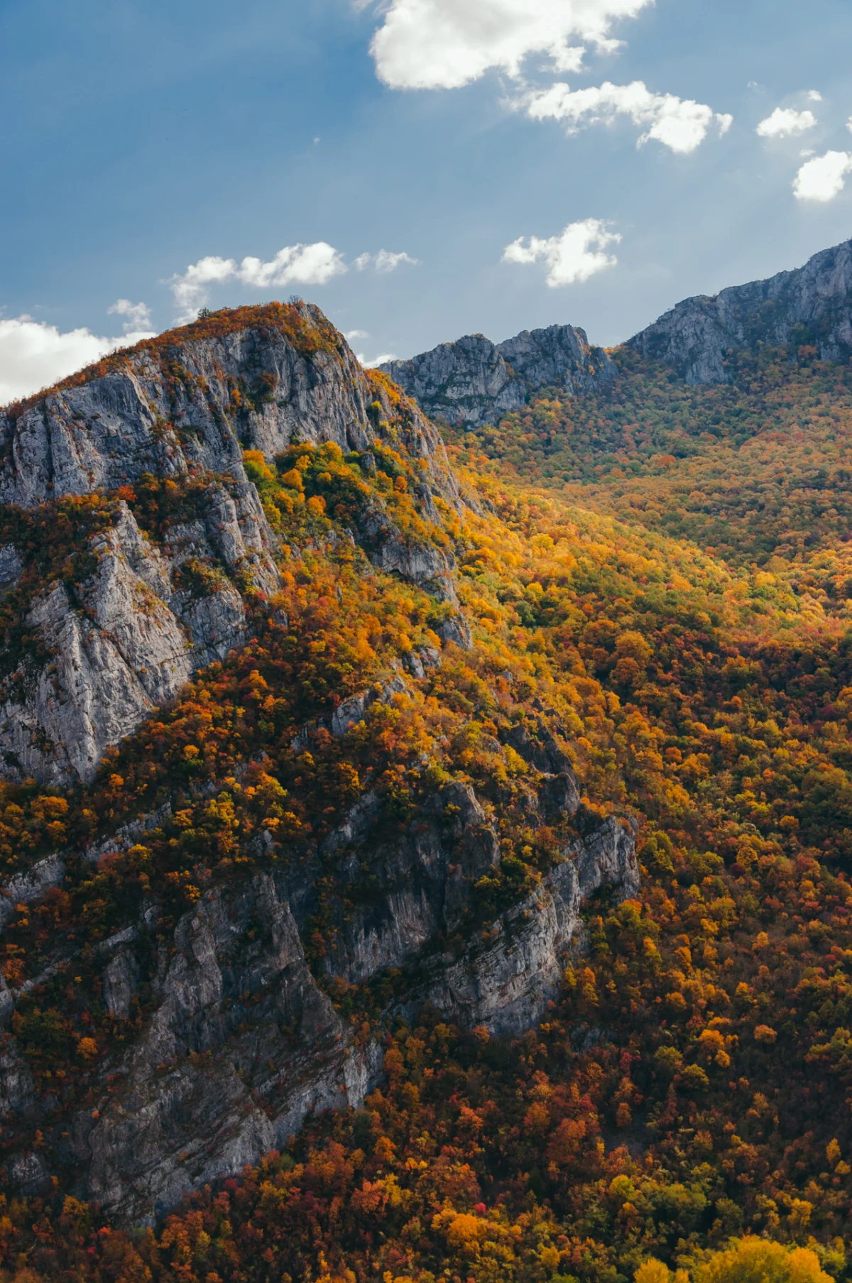 Sicevo - Sićevo Gorge in Autumn