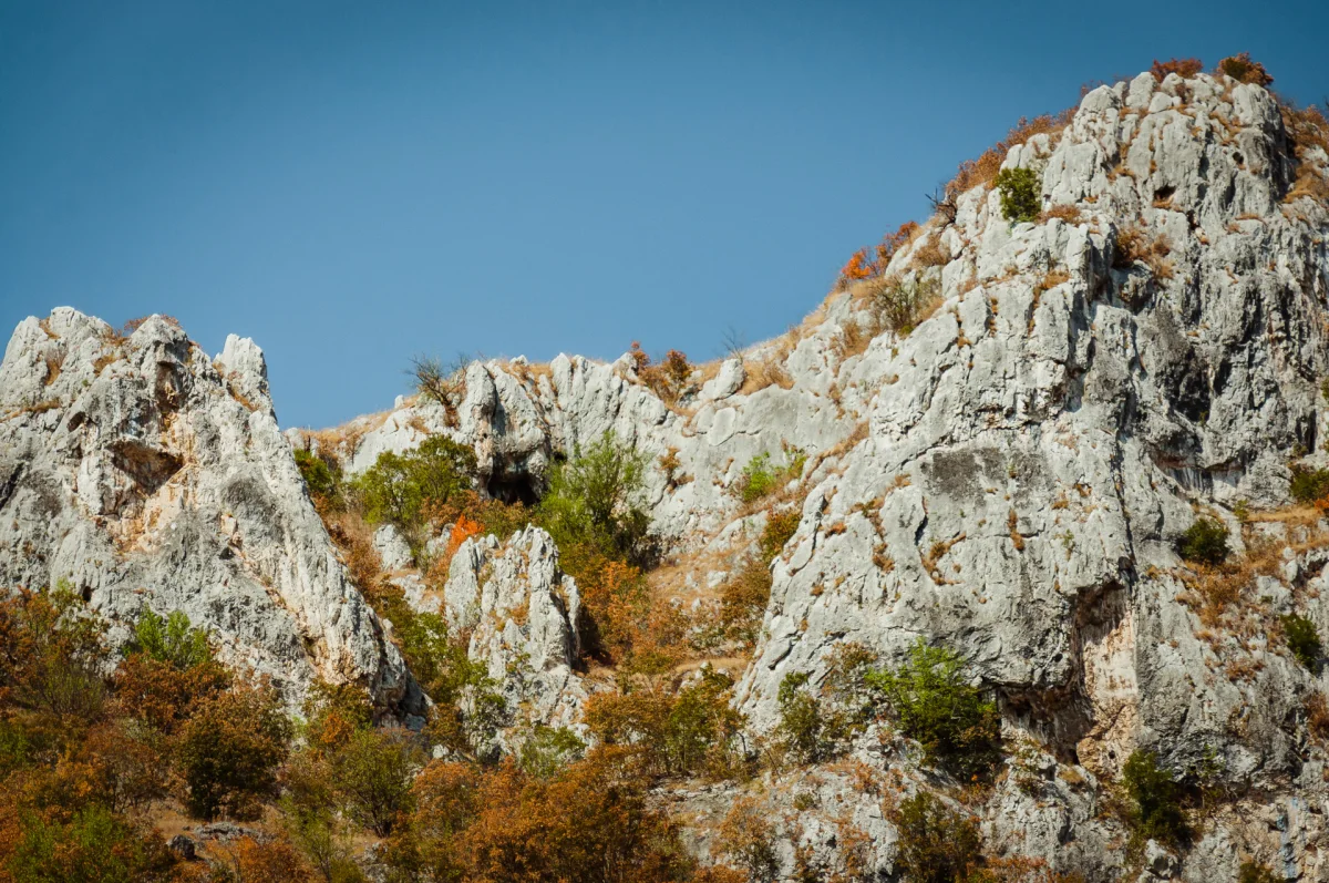 Quiet Waters and Nature Trails: A Day at Nisevac, Svrljig