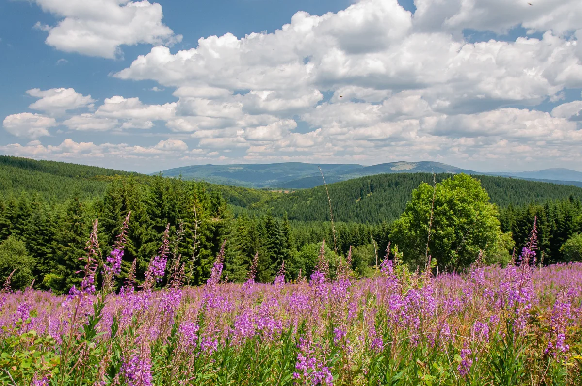 Vlasina lake - Fresh air, cold springs, and alpine peace