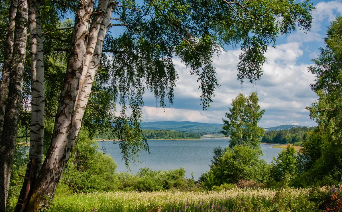 Vlasina lake - Fresh air, cold springs, and alpine peace
