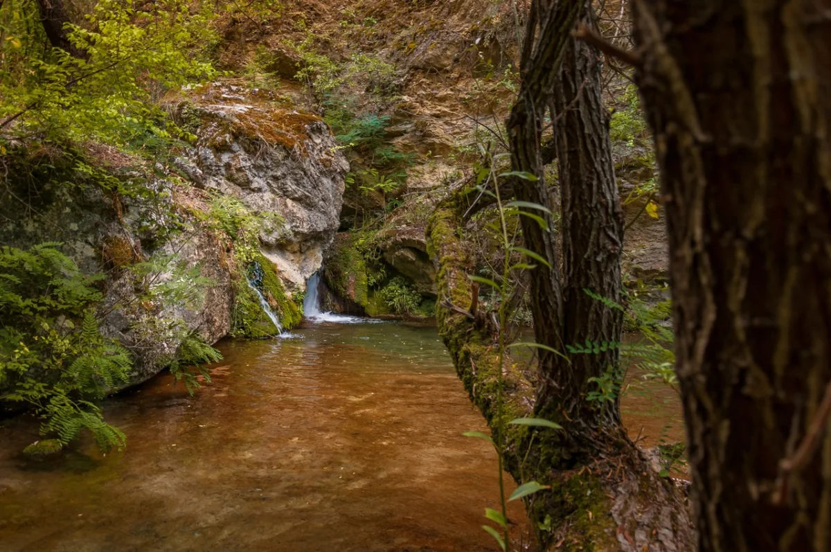 Dag Banjica, Gradašnica river canyon