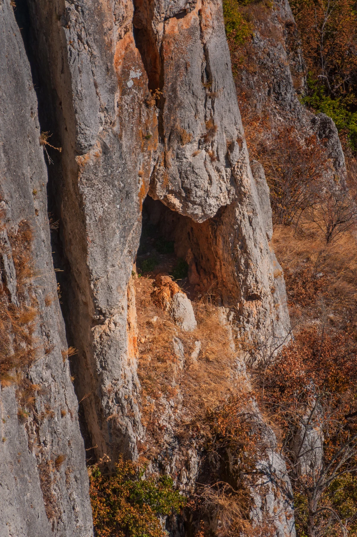 Stari grad Svrljig, tvrdjava na divljim stenama
