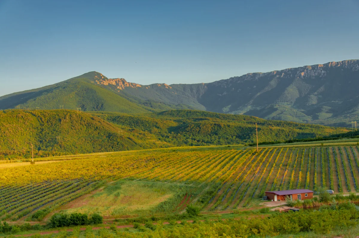 Tamnjanica, polja lavande i tragovi prošlosti