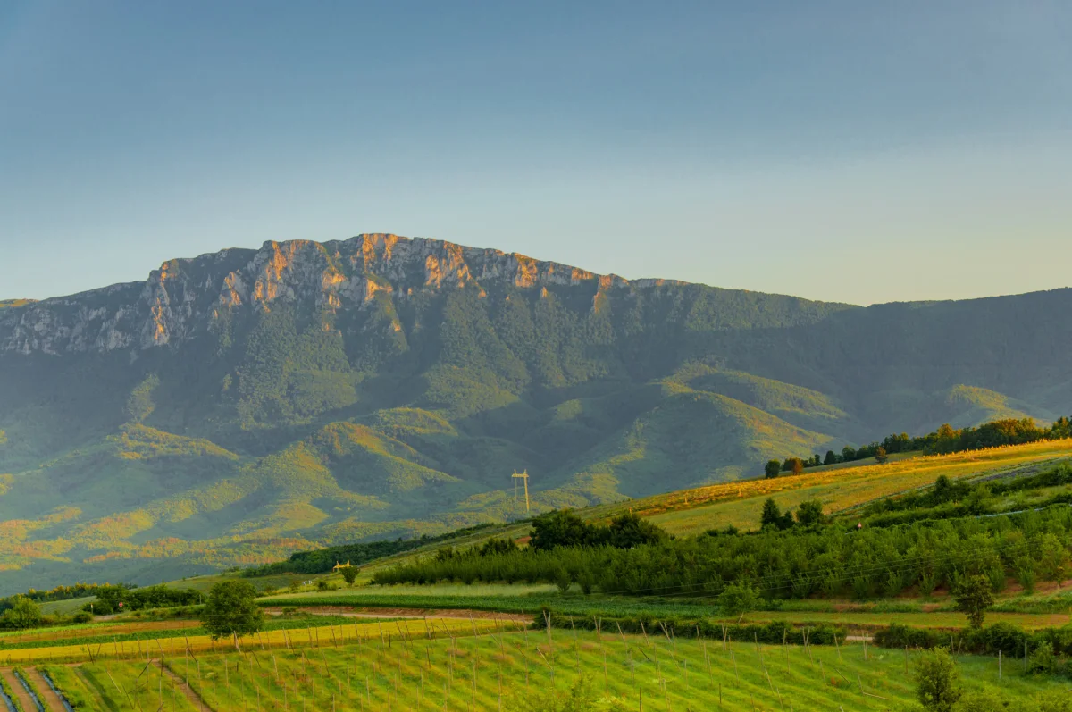 Tamnjanica, polja lavande i tragovi prošlosti