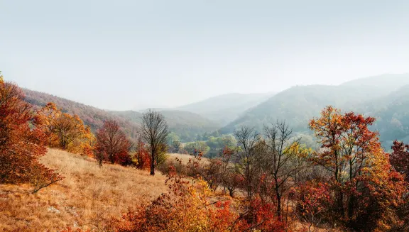 Cerje, beautiful landscapes and a picnic area