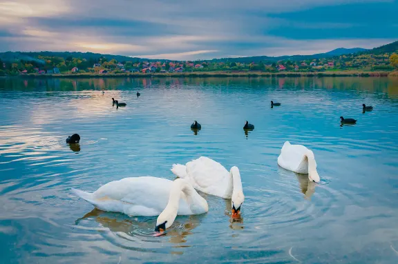 Oblačina lake - favorite getaway destination