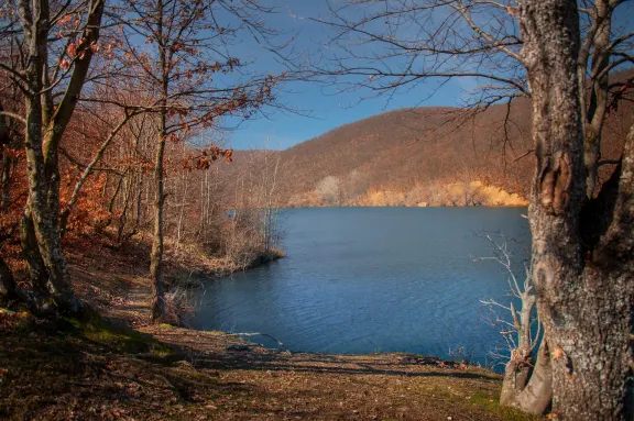 Krajkovačko jezero – savršena oaza tokom vrelih letnjih dana