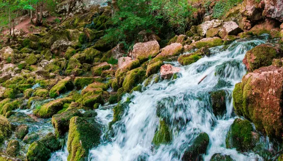 The spring of the River Grza - a one day picnic trip