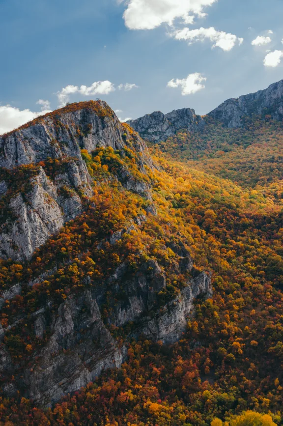Sicevo - Sićevo Gorge in Autumn