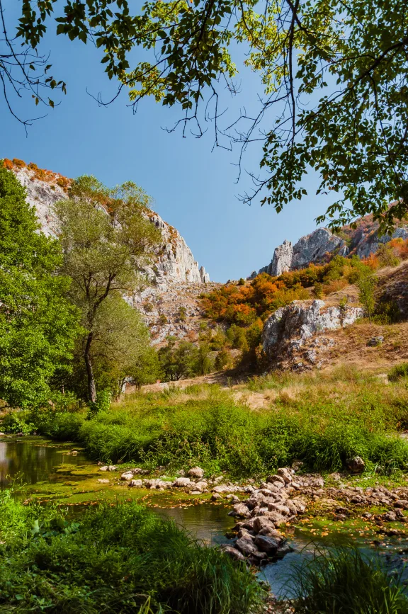 Quiet Waters and Nature Trails: A Day at Nisevac, Svrljig