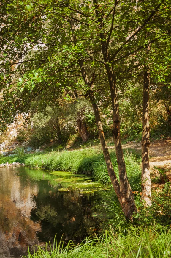Quiet Waters and Nature Trails: A Day at Nisevac, Svrljig