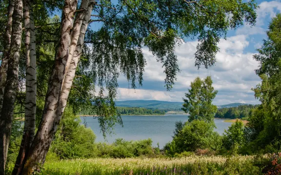 Vlasinsko jezero - svez vazduh, hladni izvori i planinski mir