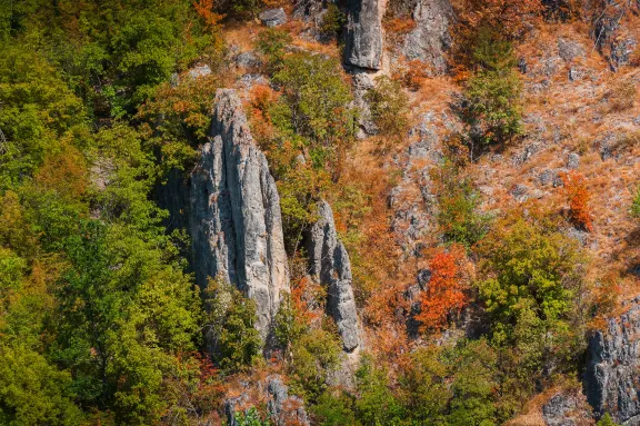 Prirodno kupalište Baranica, Knjaževac