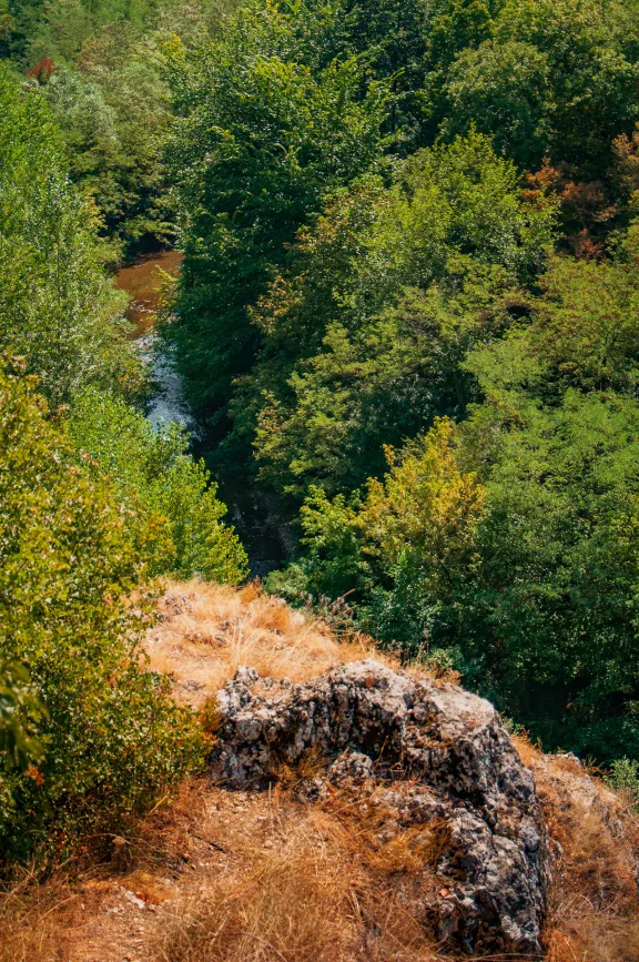Prirodno kupalište Baranica, Knjaževac