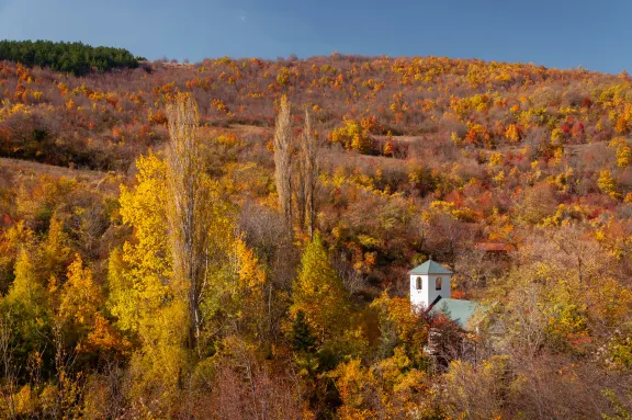 Srećkovo Vrelo in the village of Kamenica near Niš
