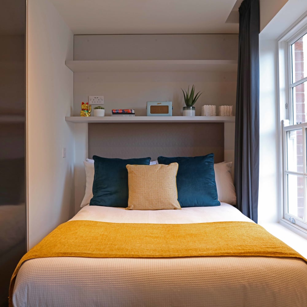 Bed in a Student Room