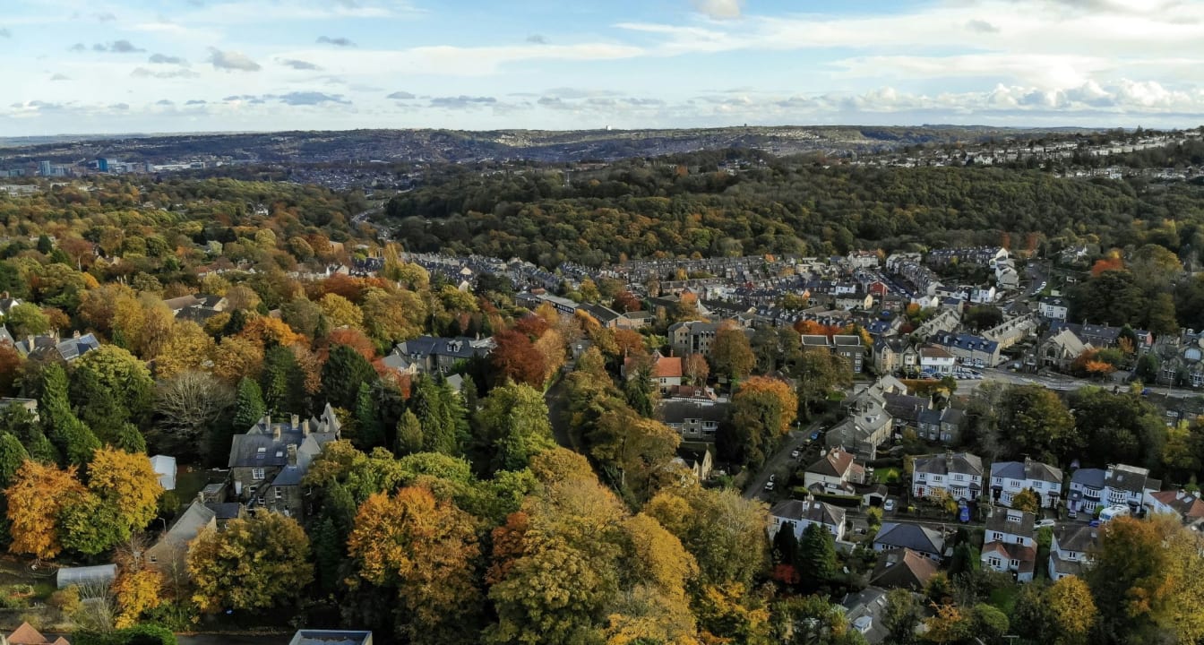 Sheffield landscape of trees and villages